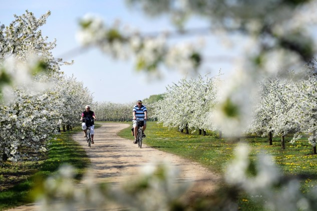 fietsen in noord limburg