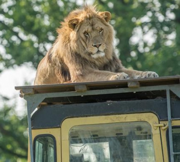 Zoo Parc Overloon